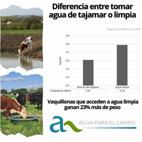 Diferencia entre tomar agua de tajamar o limpia